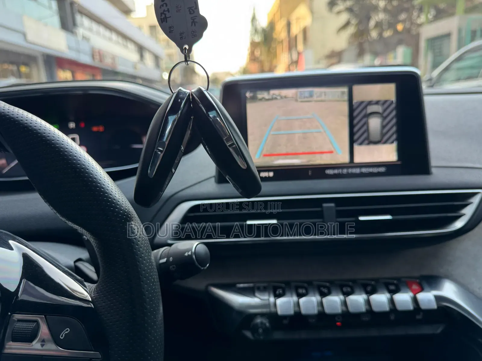 Peugeot 3008 2019 Autre