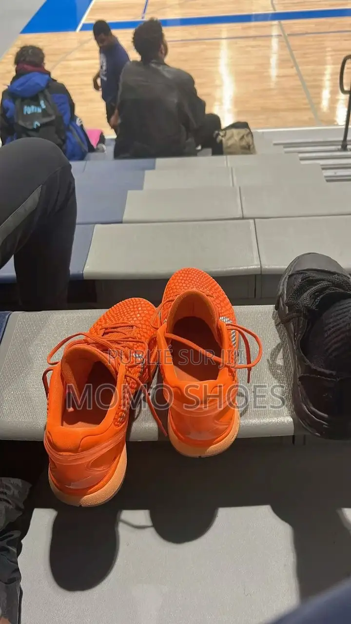 Nike Kobe 6 Protro “Total