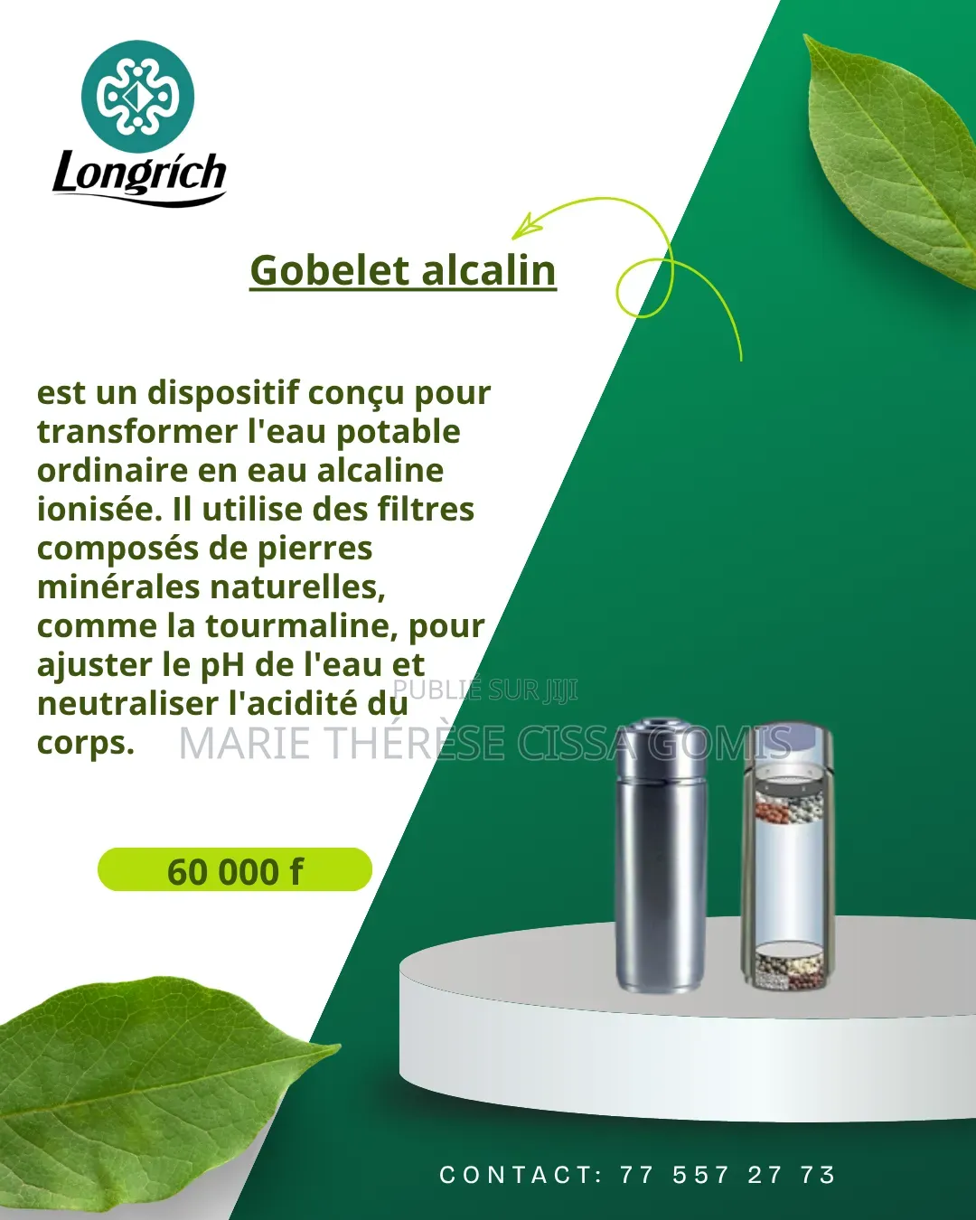 Protection Interne Et Renforcement Structurel.