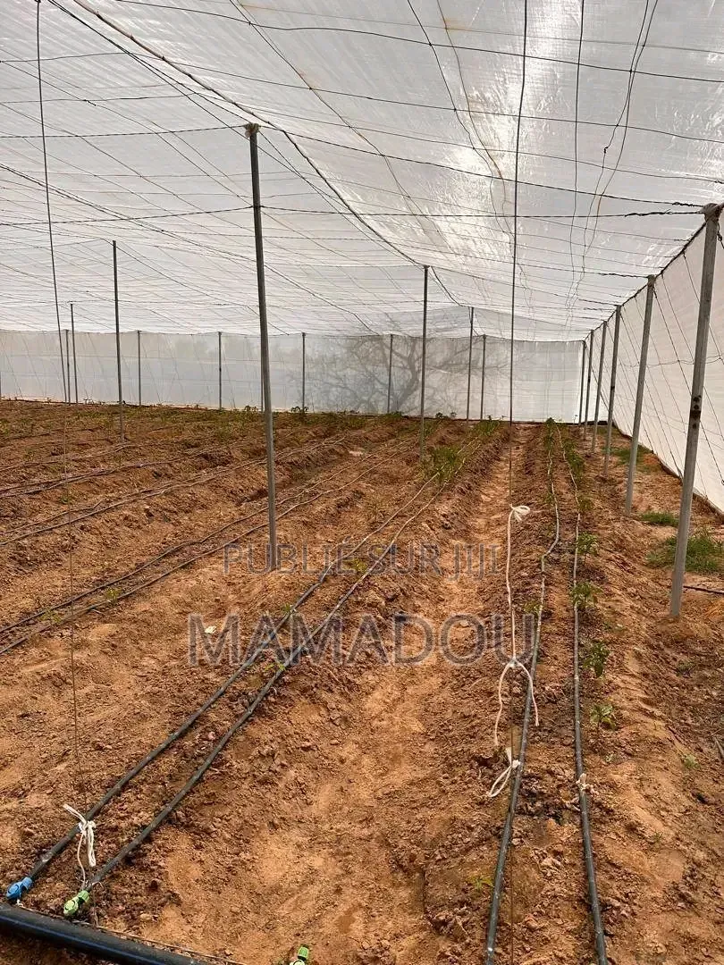 Systèmes D'irrigation Et Serres