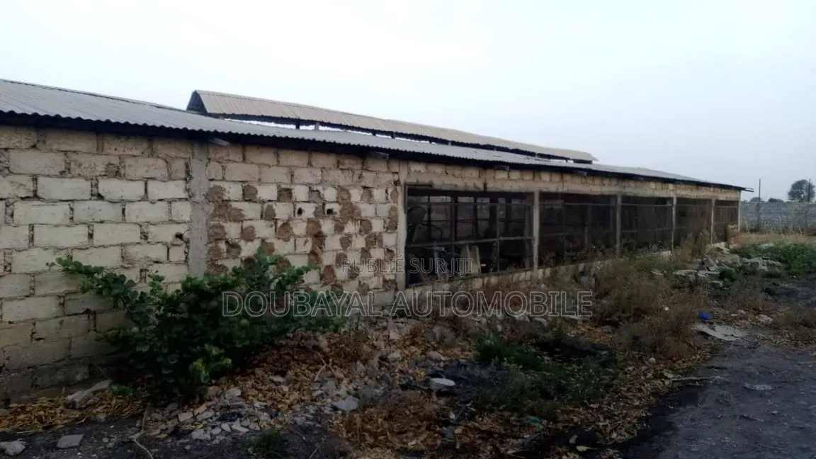 3 Hectares Clôturé À Après Fandan Mbour Pas Lion Rond-Point À Pé