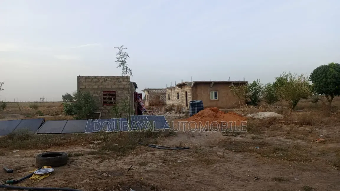3 Hectares Clôturé À Après Fandan Mbour Pas Lion Rond-Point À Pé