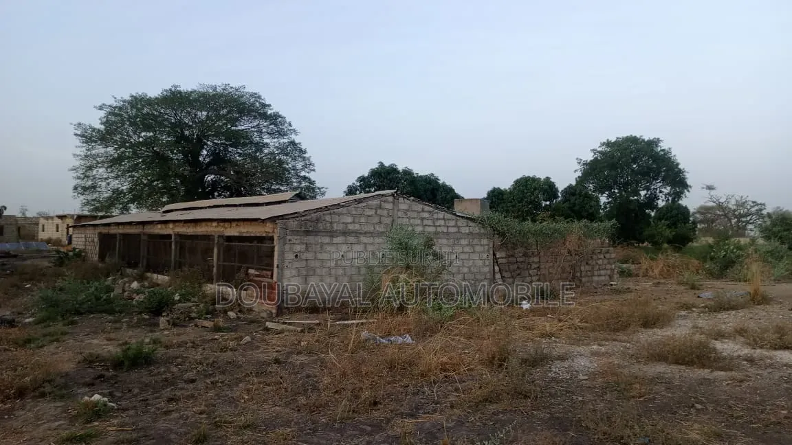 3 Hectares Clôturé À Après Fandan Mbour Pas Lion Rond-Point À Pé