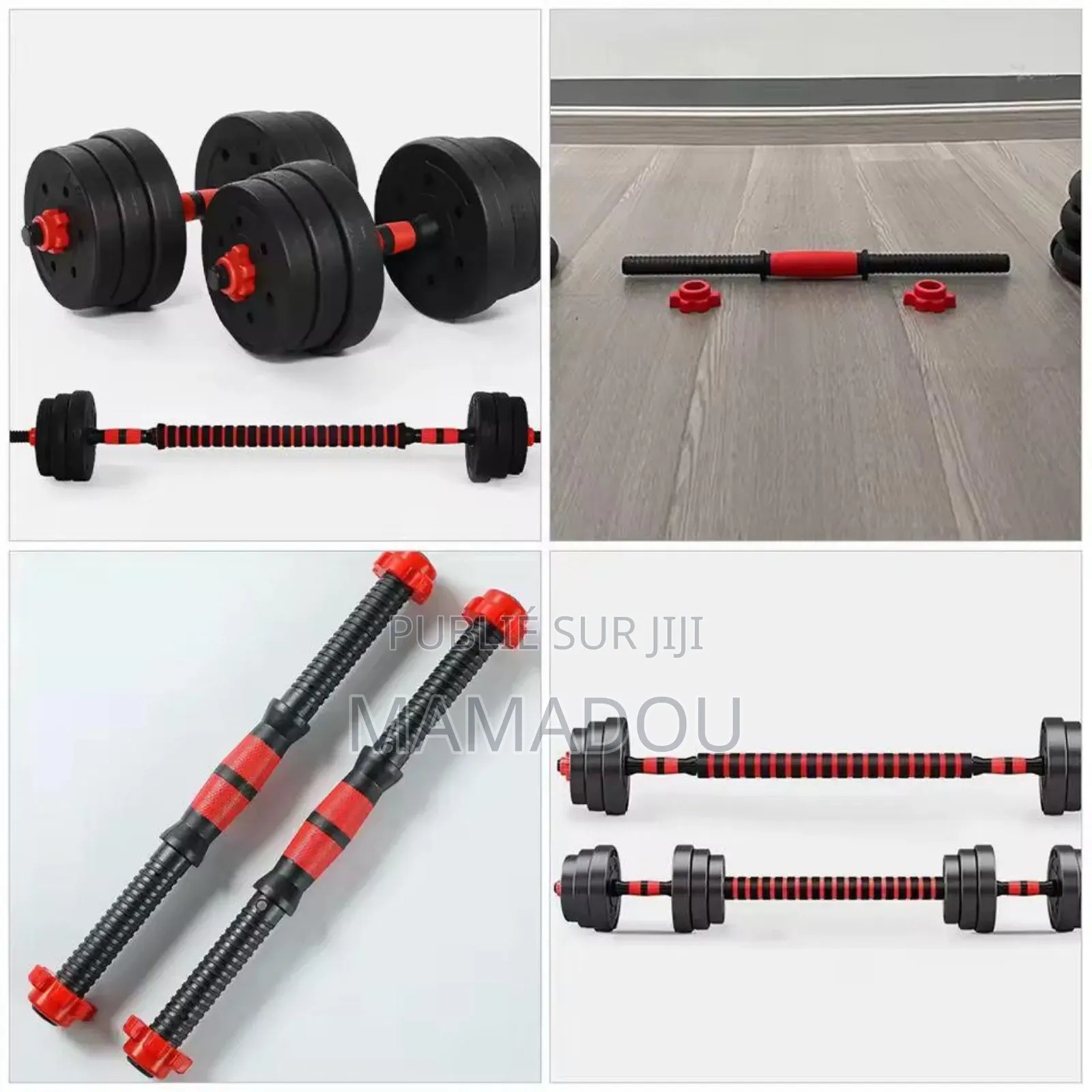 Altère Biceps 30 Kg Avec Disque