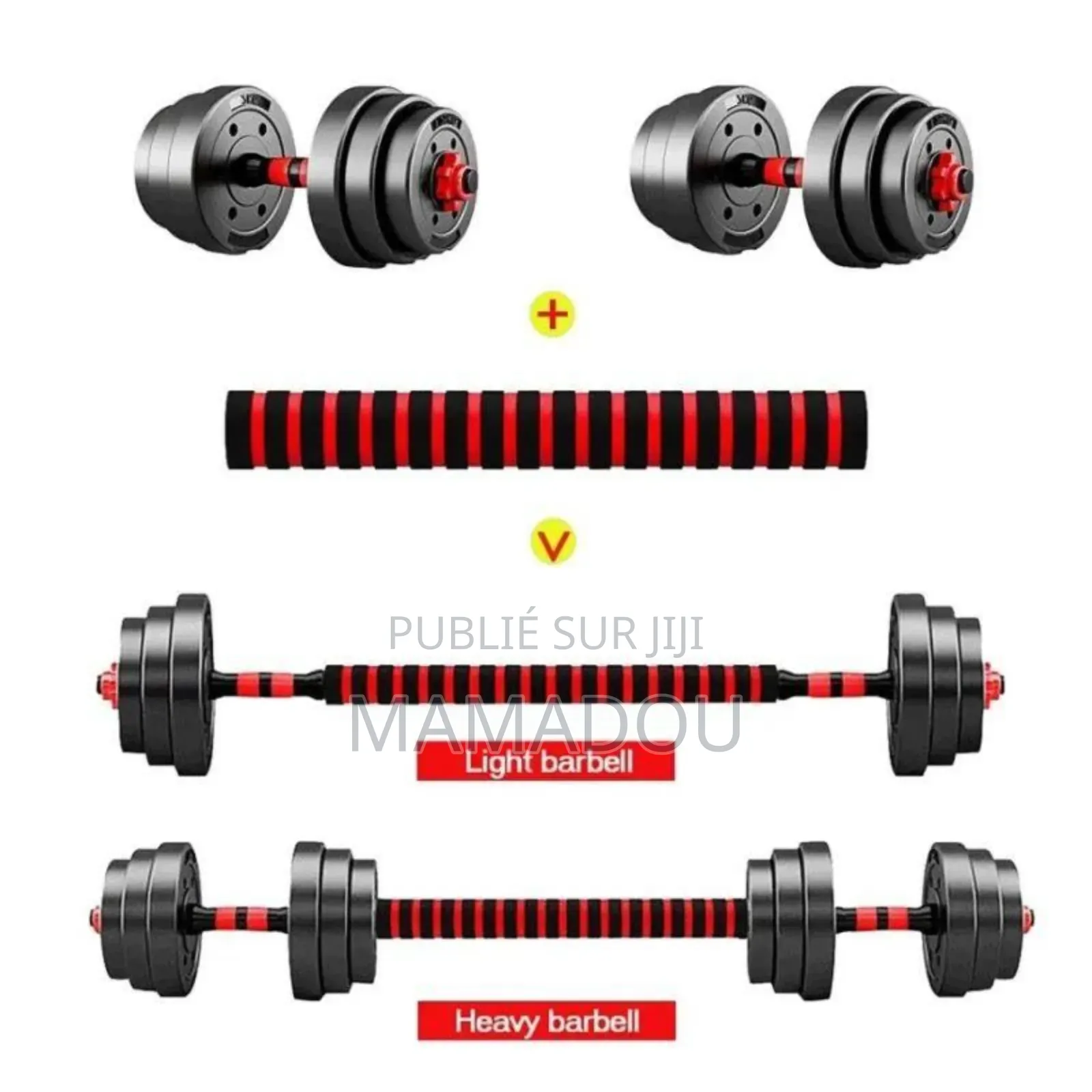 Altère Biceps 30 Kg Avec Disque