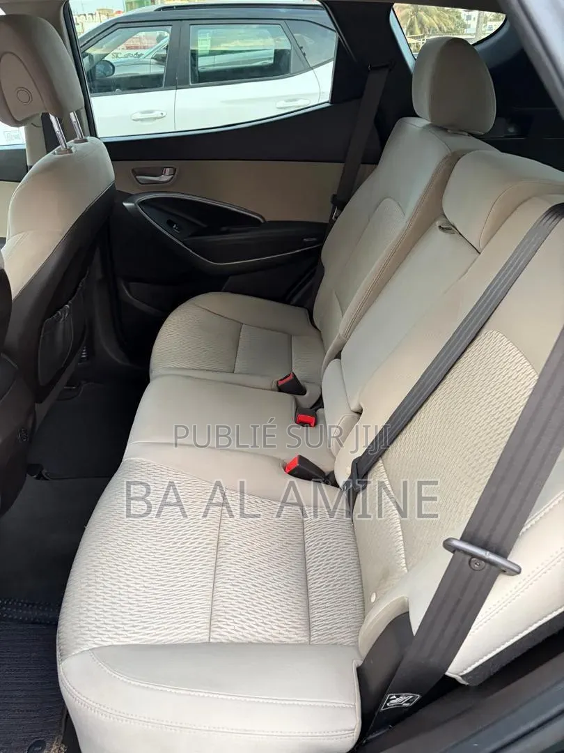 Hyundai Santa Fe 2017 Noir