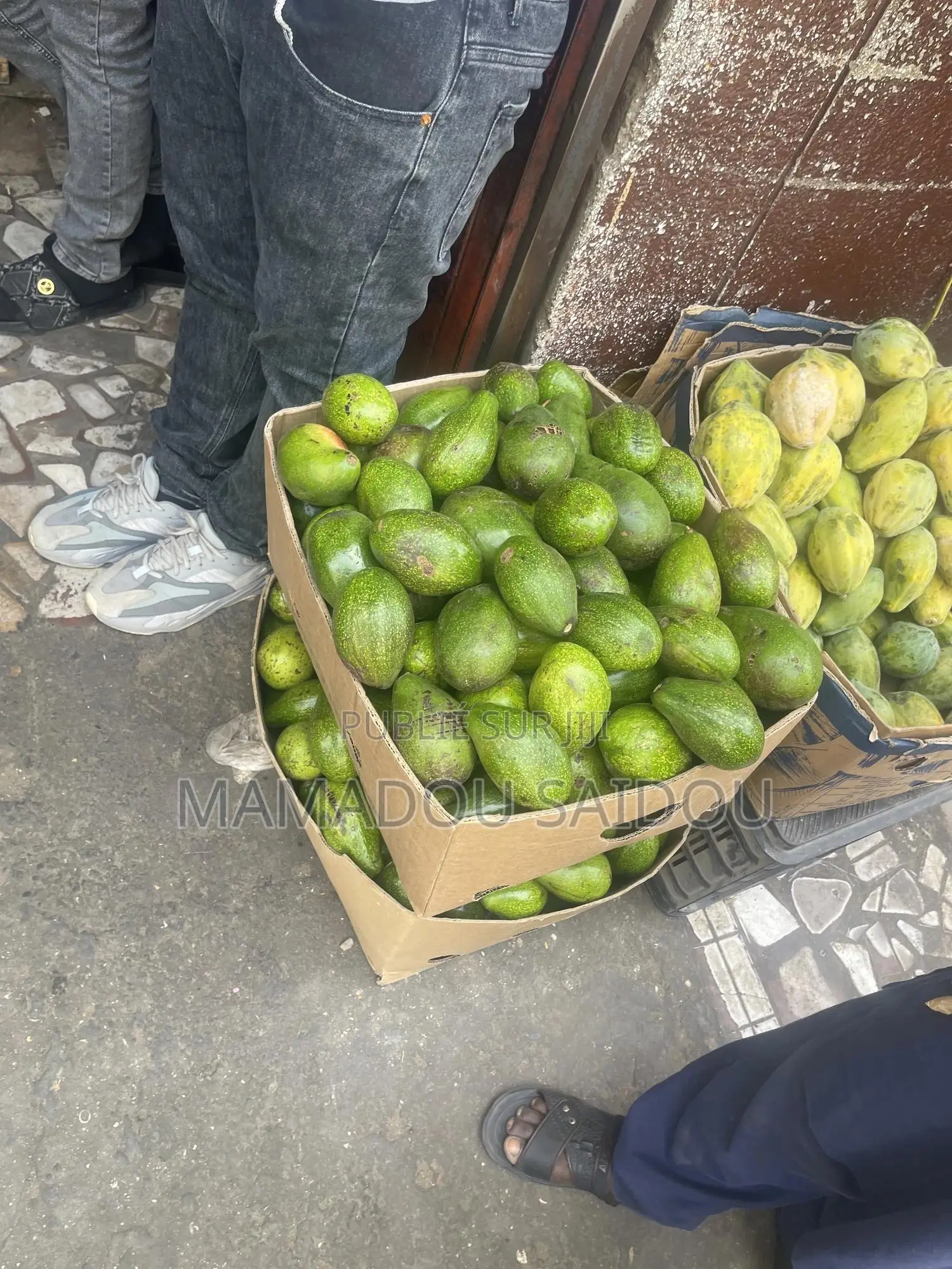 Fruit Avocat