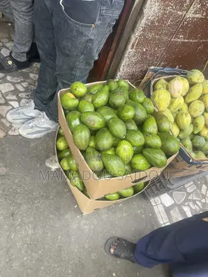 Fruit Avocat