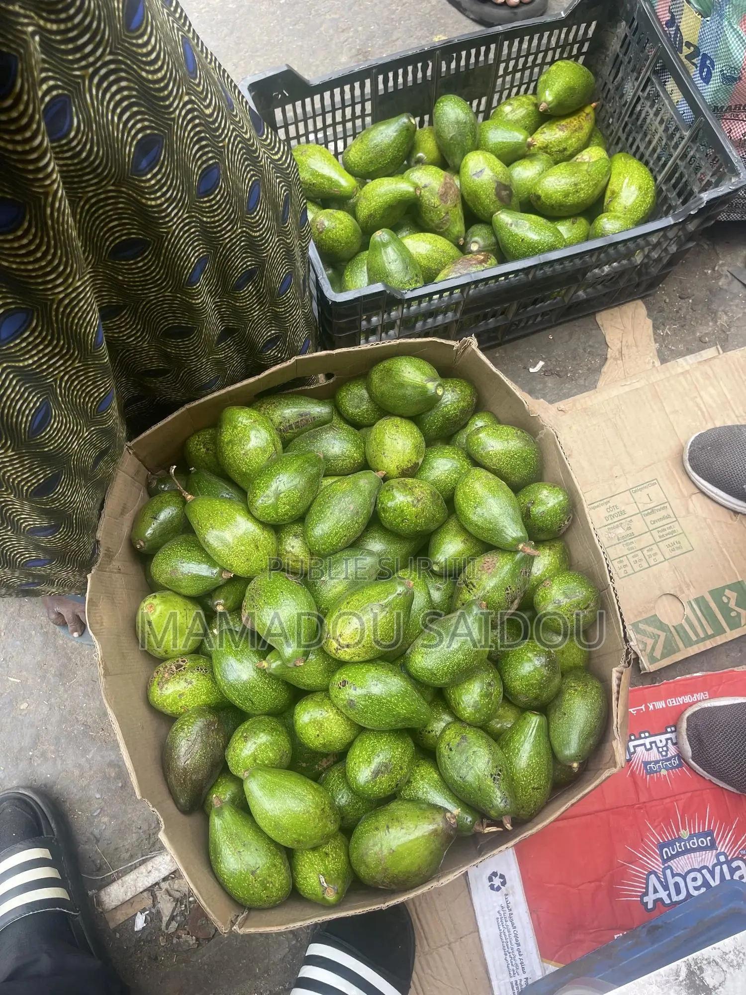 Fruit Avocat