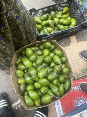 Fruit Avocat
