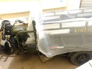 Nouveau Tricycle Autre 2025 Vert