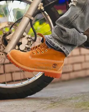Chaussures Bottes Timberland Disponible