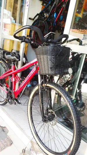 Bicyclette Electrique Livreur