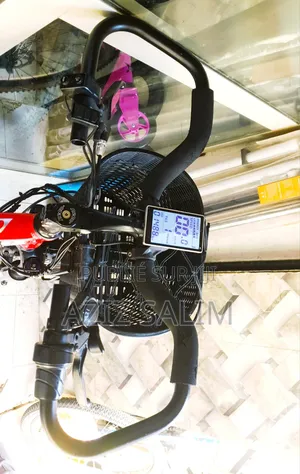 Bicyclette Electrique Livreur