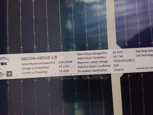 Panneaux Solaires Bifacial 620 Class