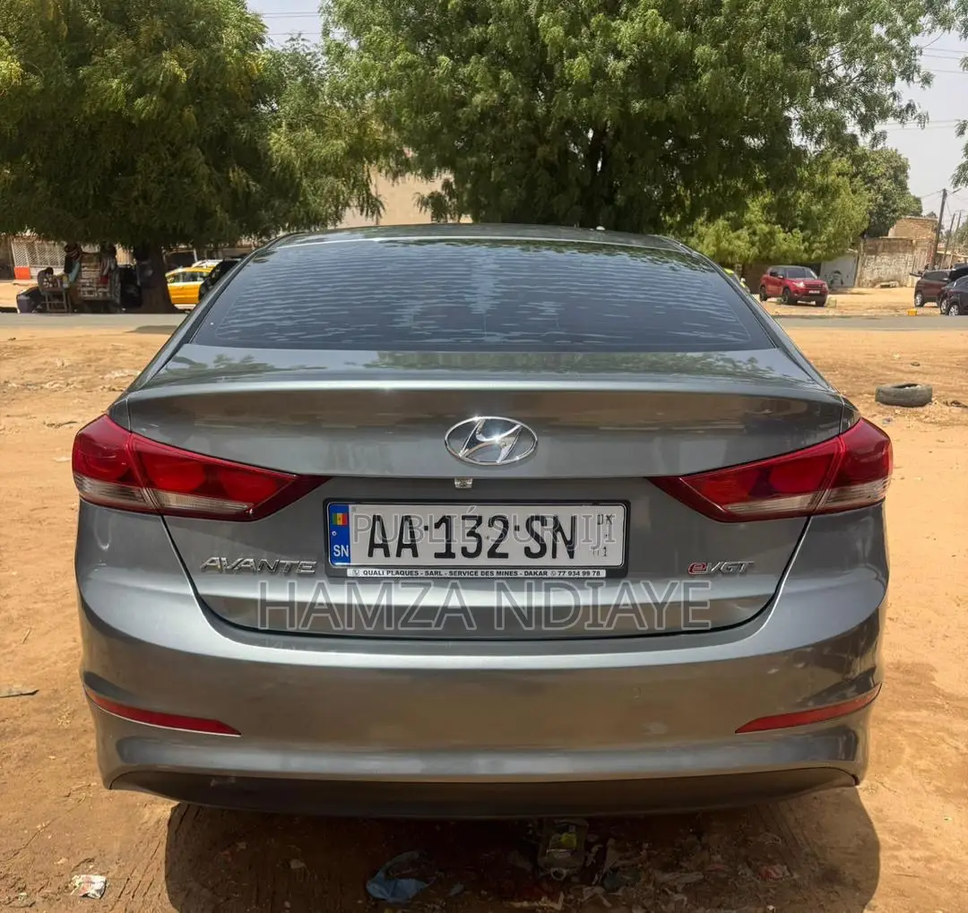 Hyundai Elantra 2017 Gris