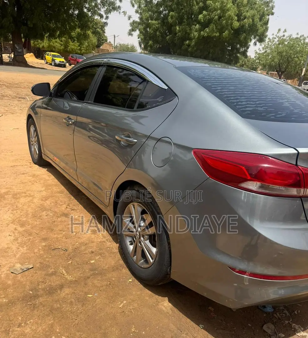 Hyundai Elantra 2017 Gris