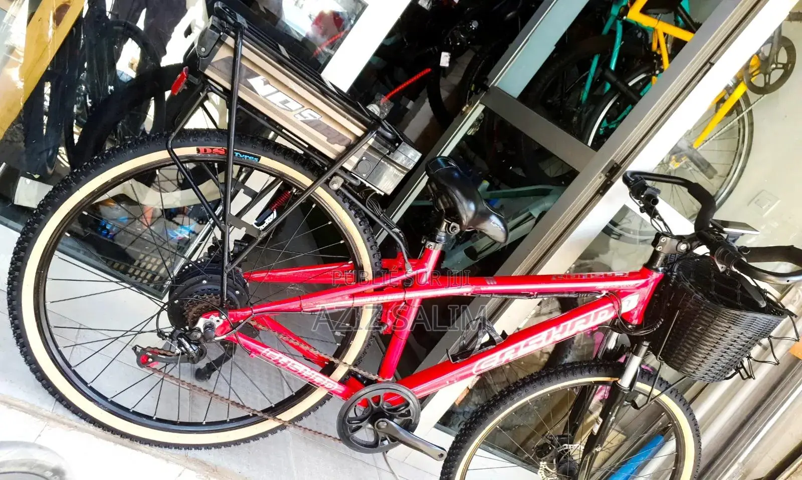 Bicyclette Electrique Livreur