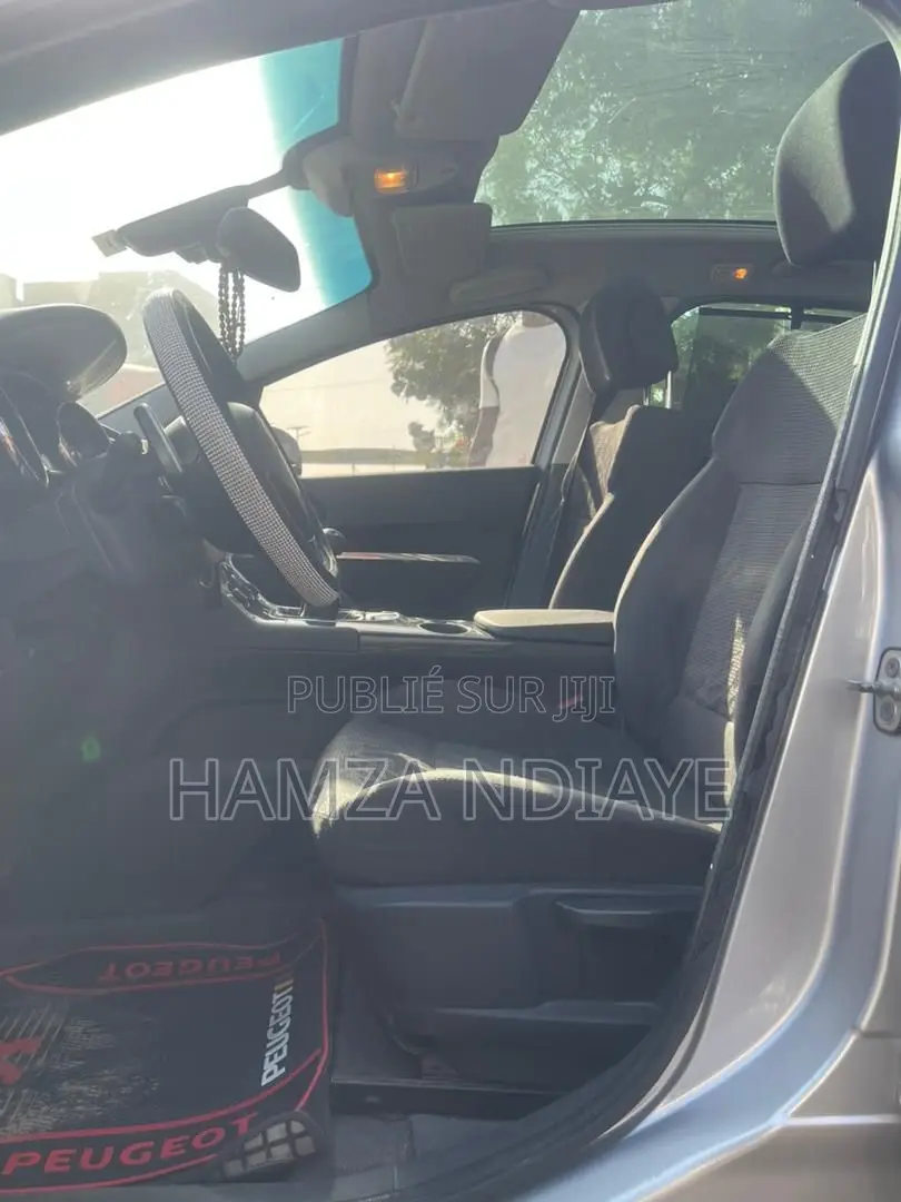 Peugeot 3008 2012 Gris