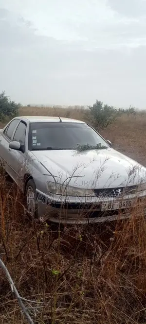 Peugeot 406 2009 Gris