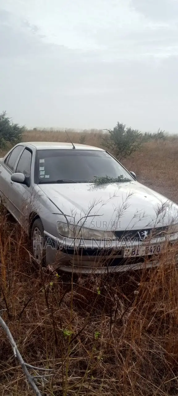 Peugeot 406 2009 Gris