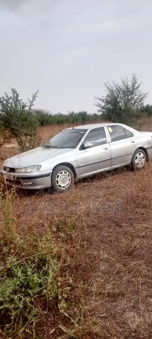 Peugeot 406 2009 Gris