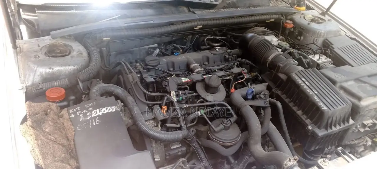Peugeot 406 2009 Gris