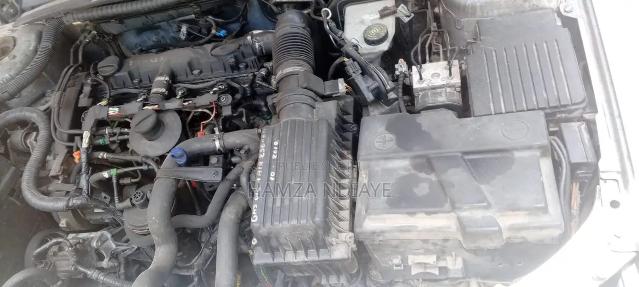Peugeot 406 2009 Gris