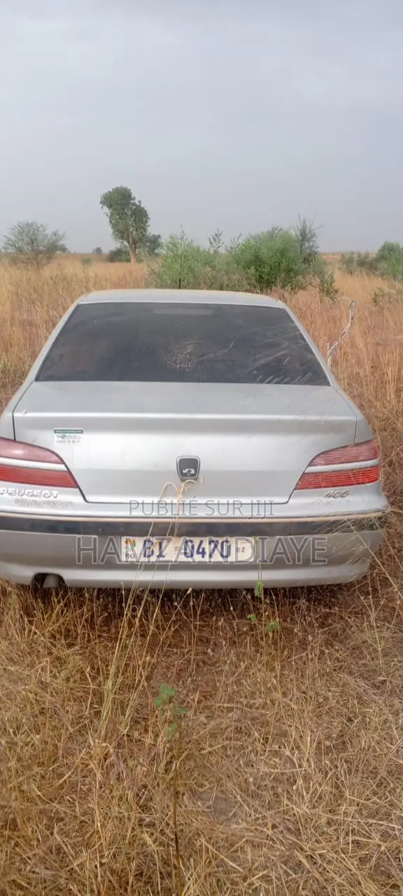 Peugeot 406 2009 Gris