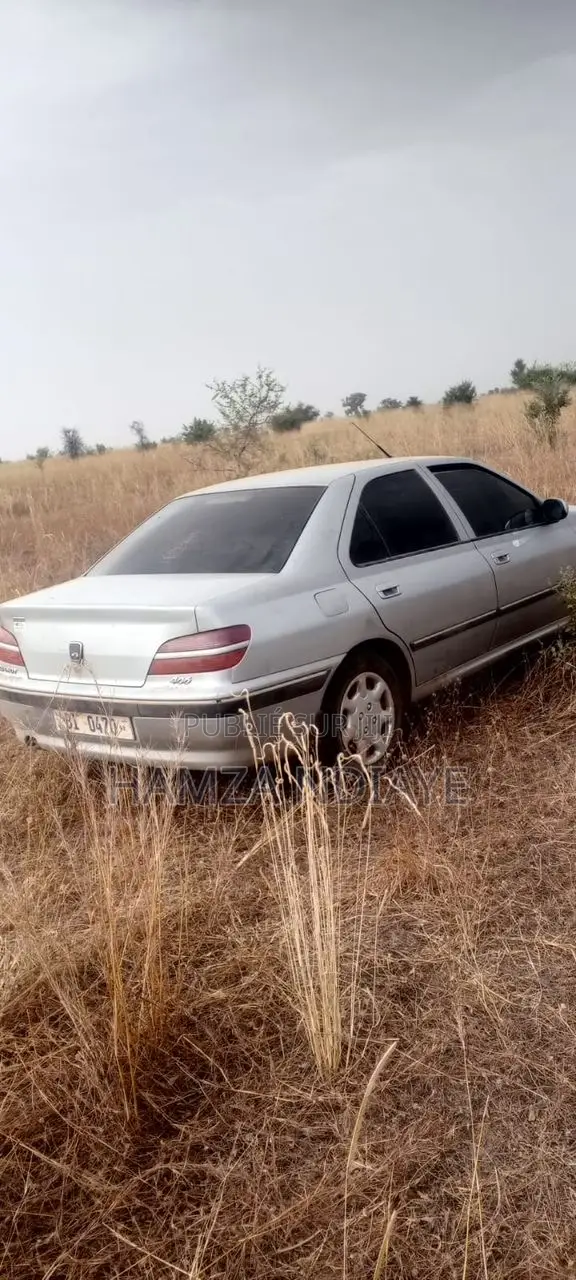 Peugeot 406 2009 Gris