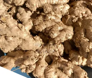Produits Alimentaires Sains Gingembre