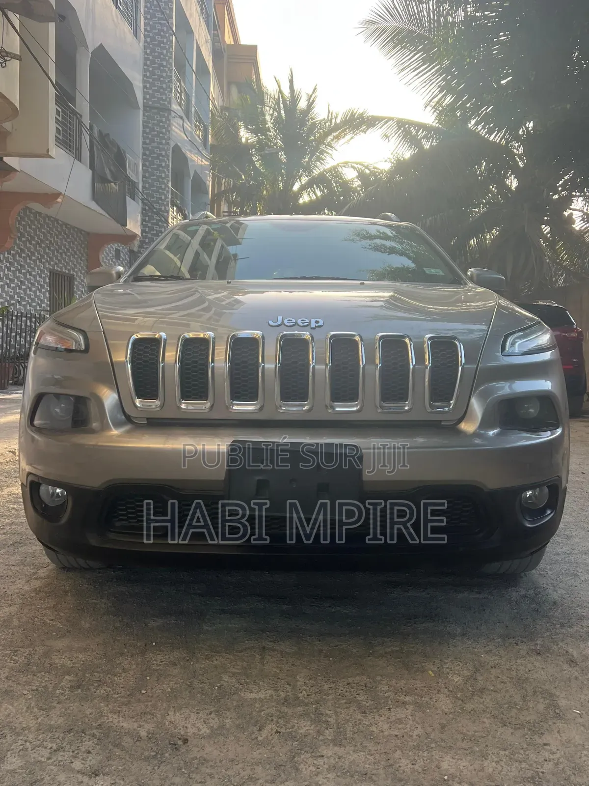 Jeep Cherokee 2017 Gris