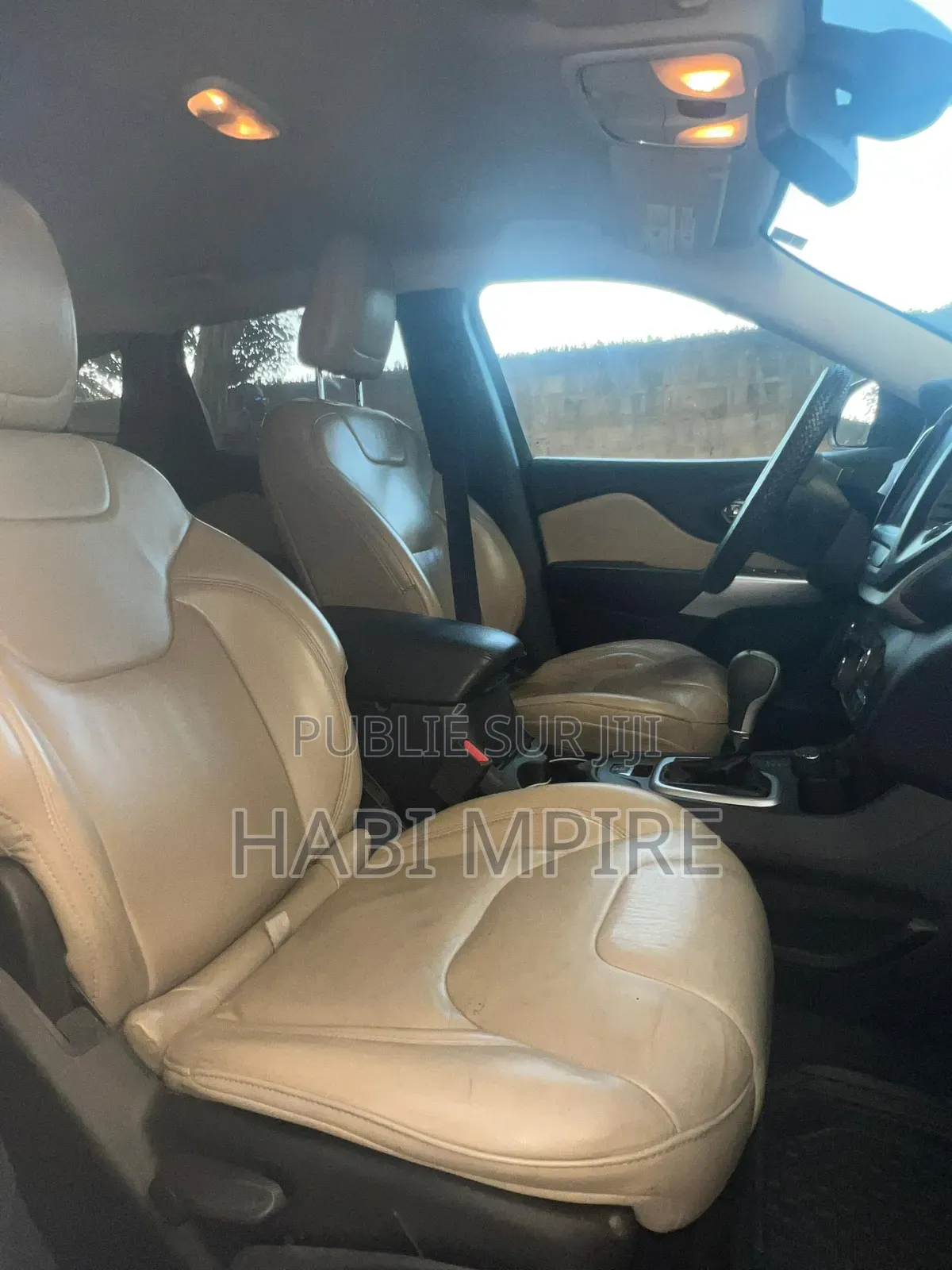 Jeep Cherokee 2017 Gris