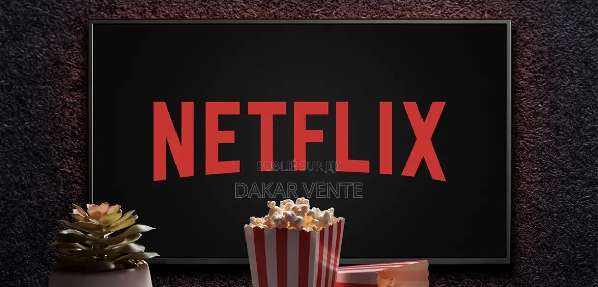 Abonnement Netflix 1an