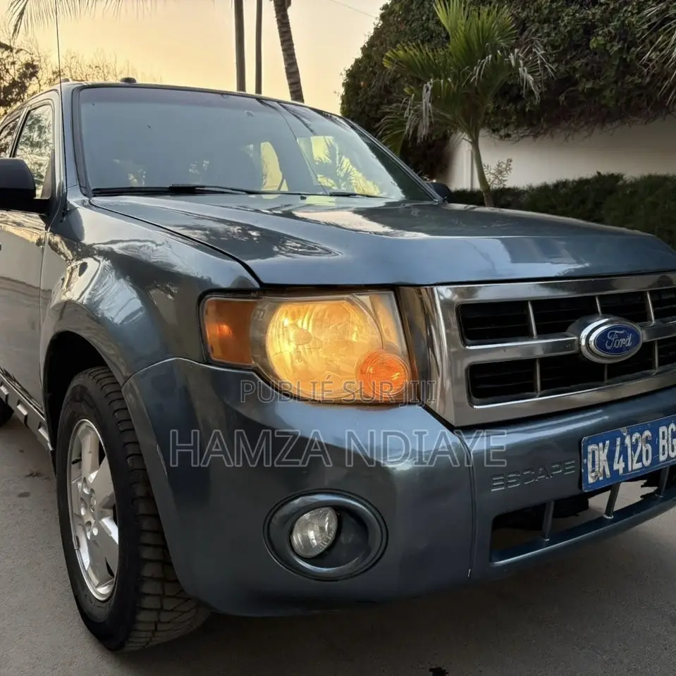 Ford Escape 2011 Gris