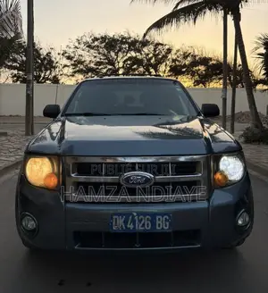 Ford Escape 2011 Gris