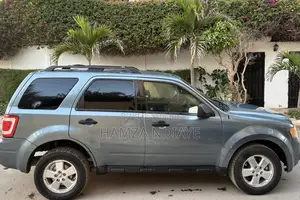 Ford Escape 2011 Gris