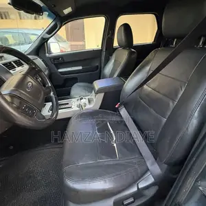 Ford Escape 2011 Gris