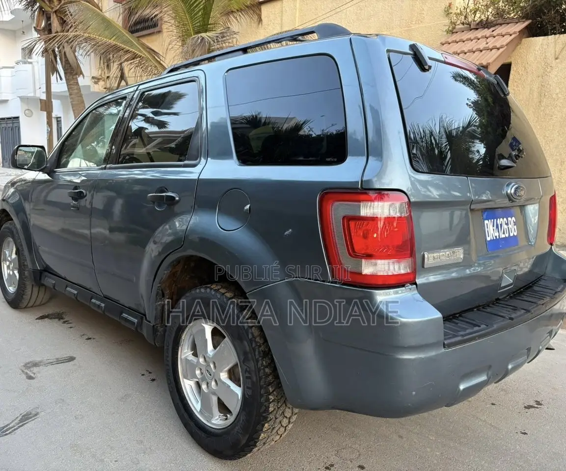 Ford Escape 2011 Gris