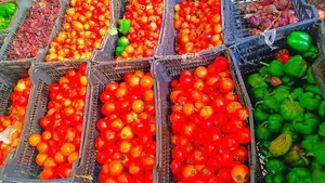 Vente De Fruits Et Légumes