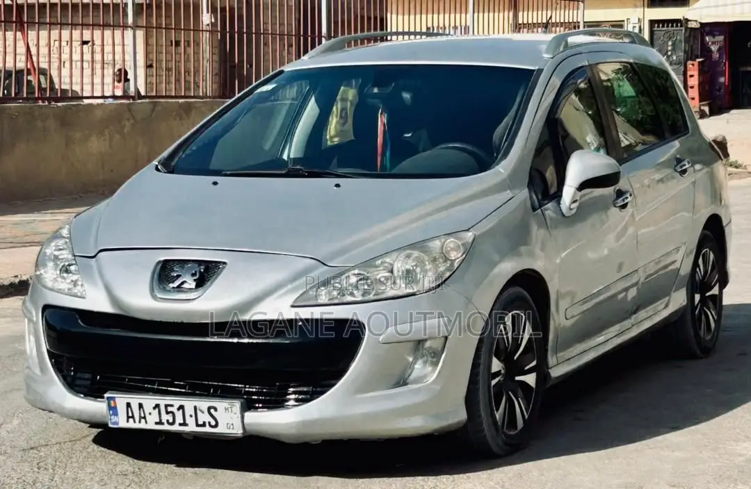Peugeot 308 2009 Gris