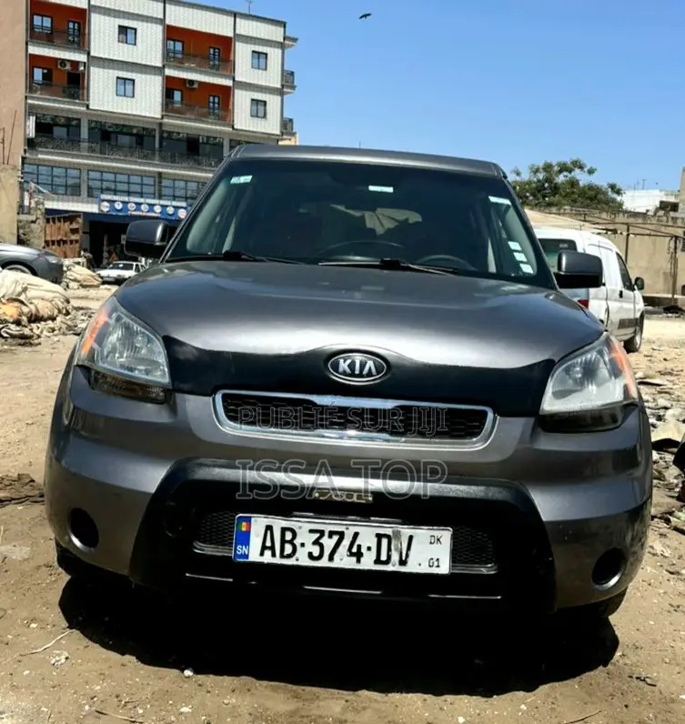 Kia Âme 2010 Gris