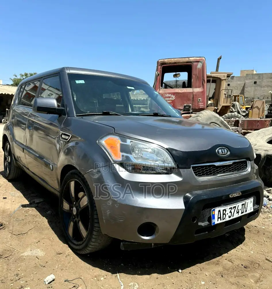 Kia Âme 2010 Gris
