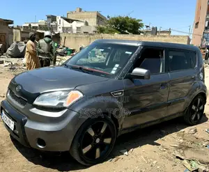 Kia Âme 2010 Gris