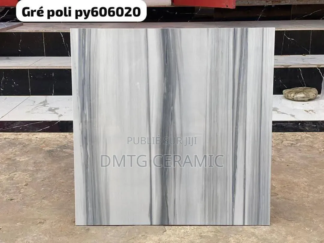 Carreaux Grès Poli 60x60 – Ice Beige Gold