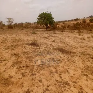Terrain Agricole De 8.279 M2 Vers Kab Gaye – Louga