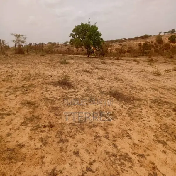 Terrain Agricole De 8.279 M2 Vers Kab Gaye – Louga