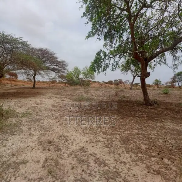 Terrain Agricole De 8.279 M2 Vers Kab Gaye – Louga
