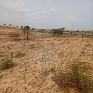 Terrain Agricole De 8.279 M2 Vers Kab Gaye – Louga