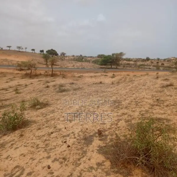 Terrain Agricole De 8.279 M2 Vers Kab Gaye – Louga